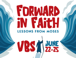 VBS Website Pic